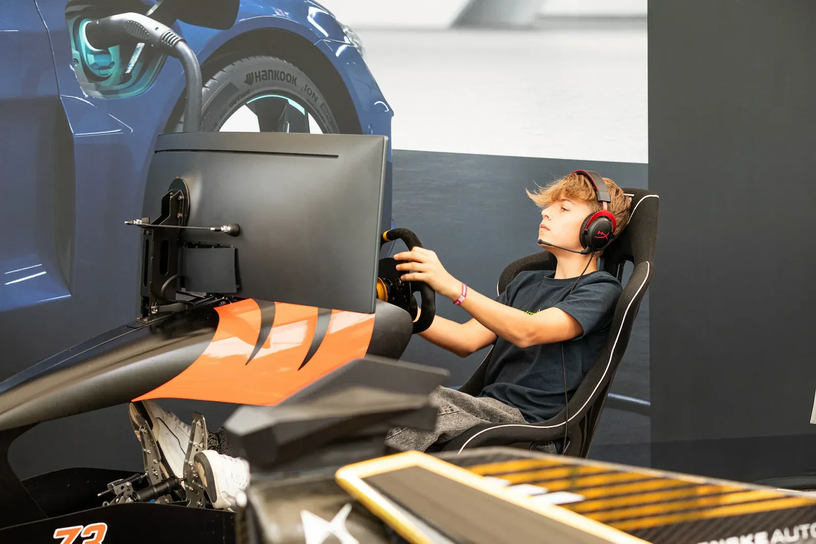 Elektrotage sonntag@barbaranidetzky 3335 17 compressed gL0VAFAX