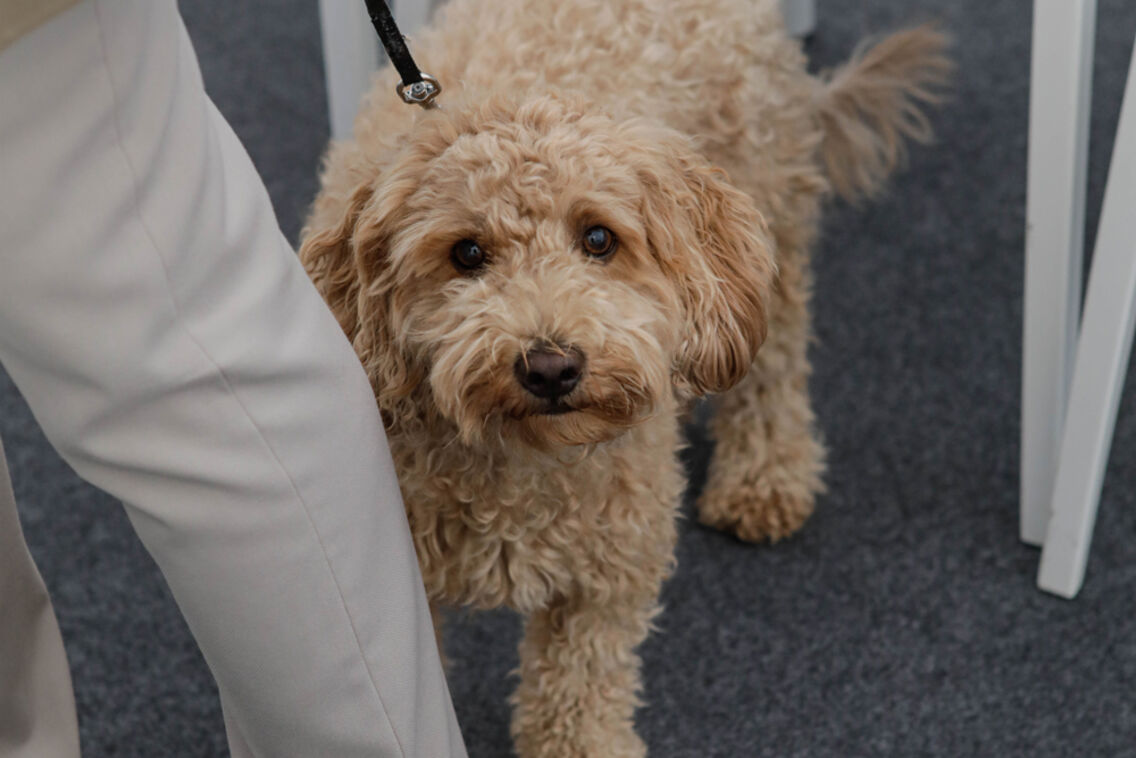 Thumb 7777772 SgUqYLZs